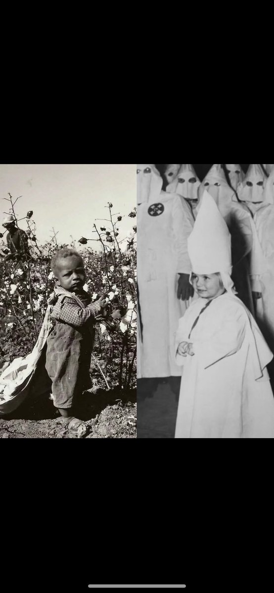 Donald Moss tweet media