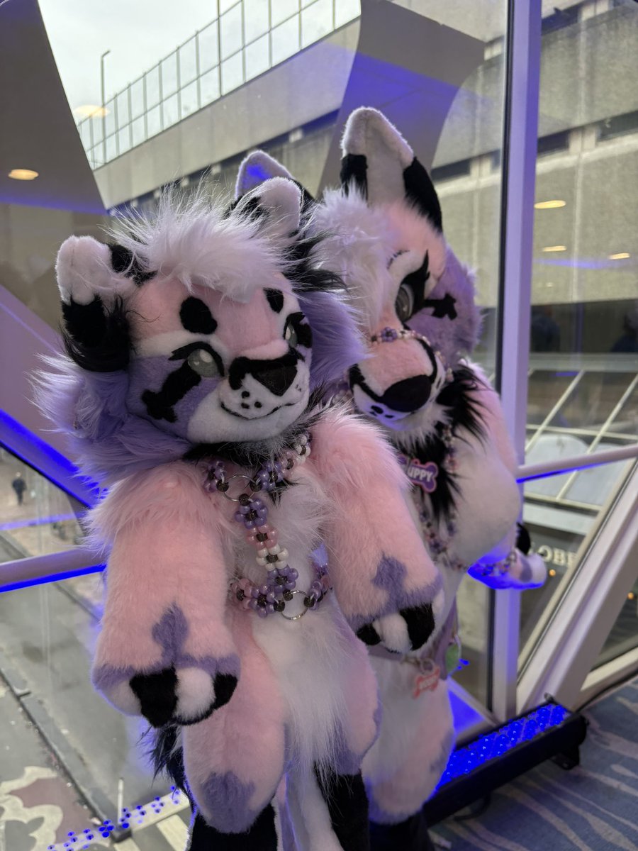 Mystic 🔜 FWA tweet media