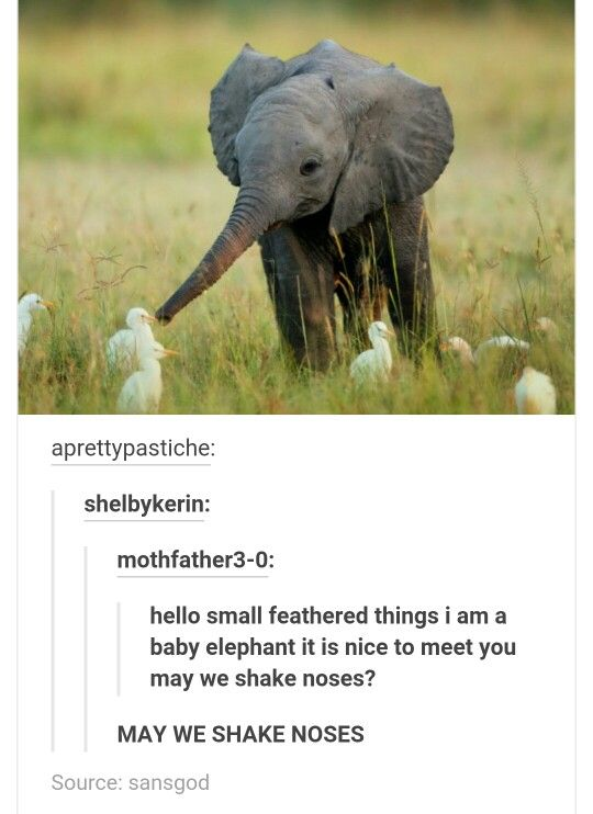 WholesomeMemes tweet media