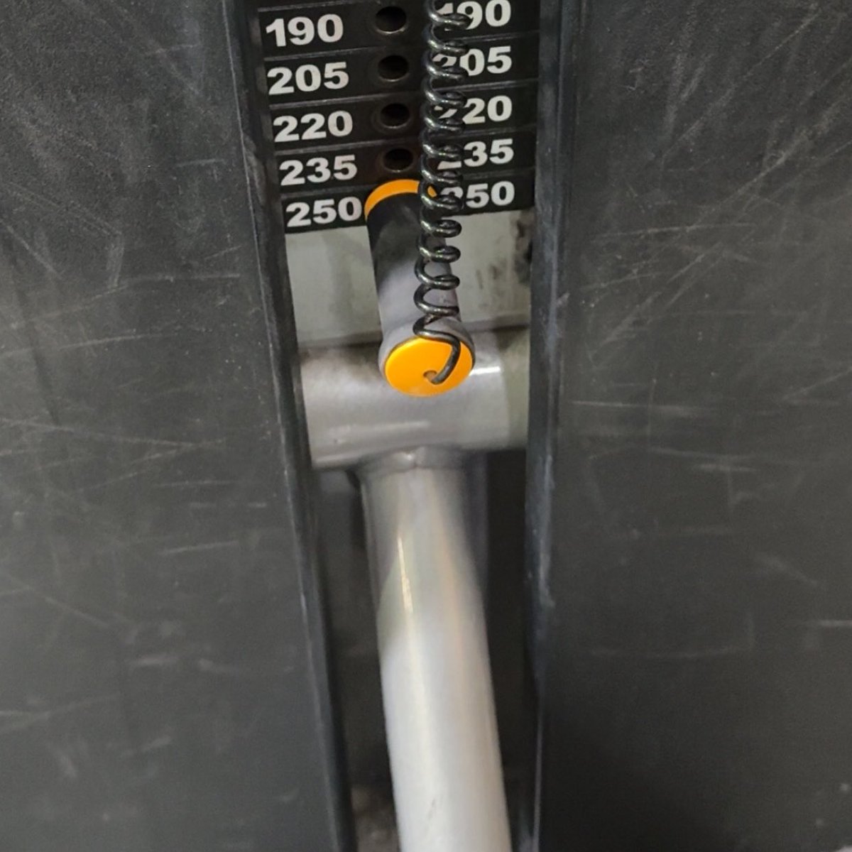 Frog 🌕 tweet media