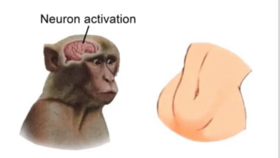 TwoMimir✨ (20's season) tweet media