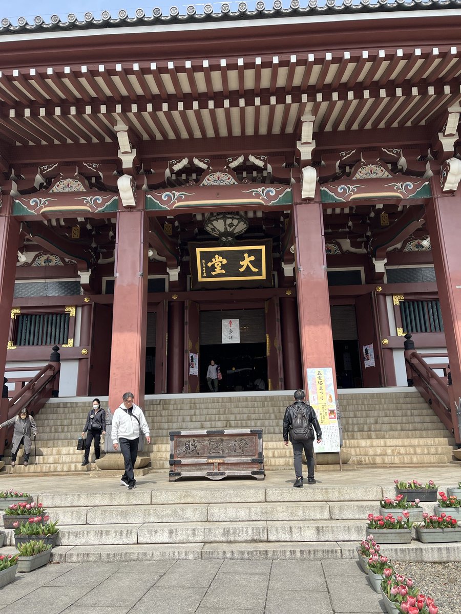 菊池純子 tweet media