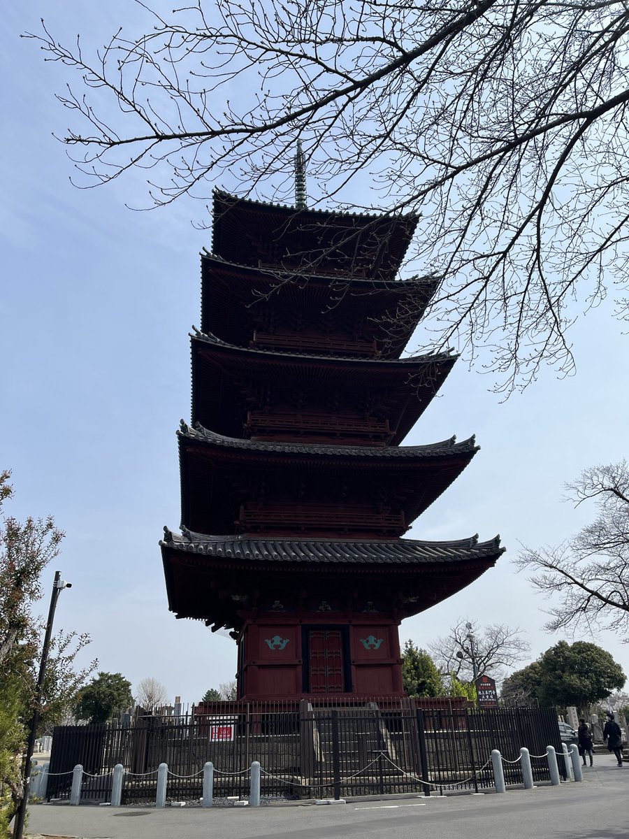 菊池純子 tweet media