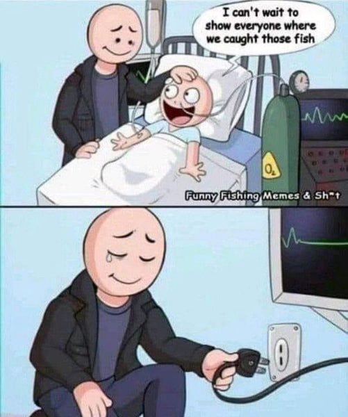 FishingNiche's tweet image. 