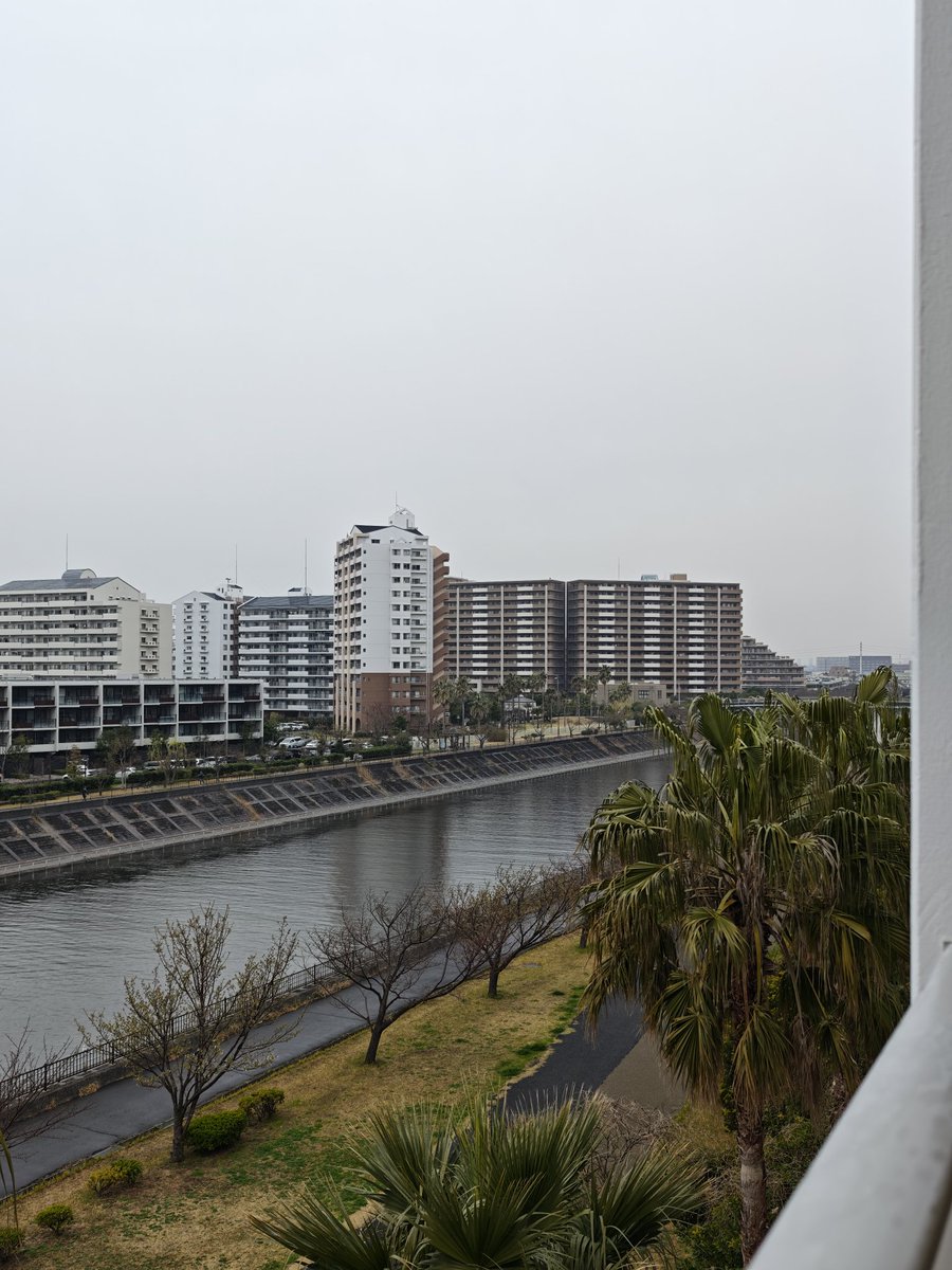 いとうり / itouri tweet media