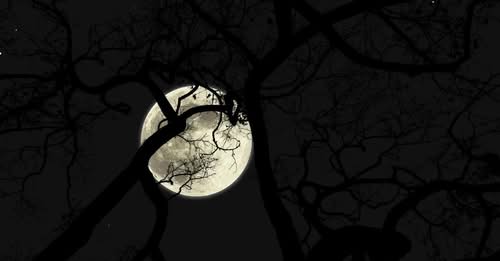 LASKA SANDY DAWN ALEX PASCALE PADLO ALPHA. A. tweet media