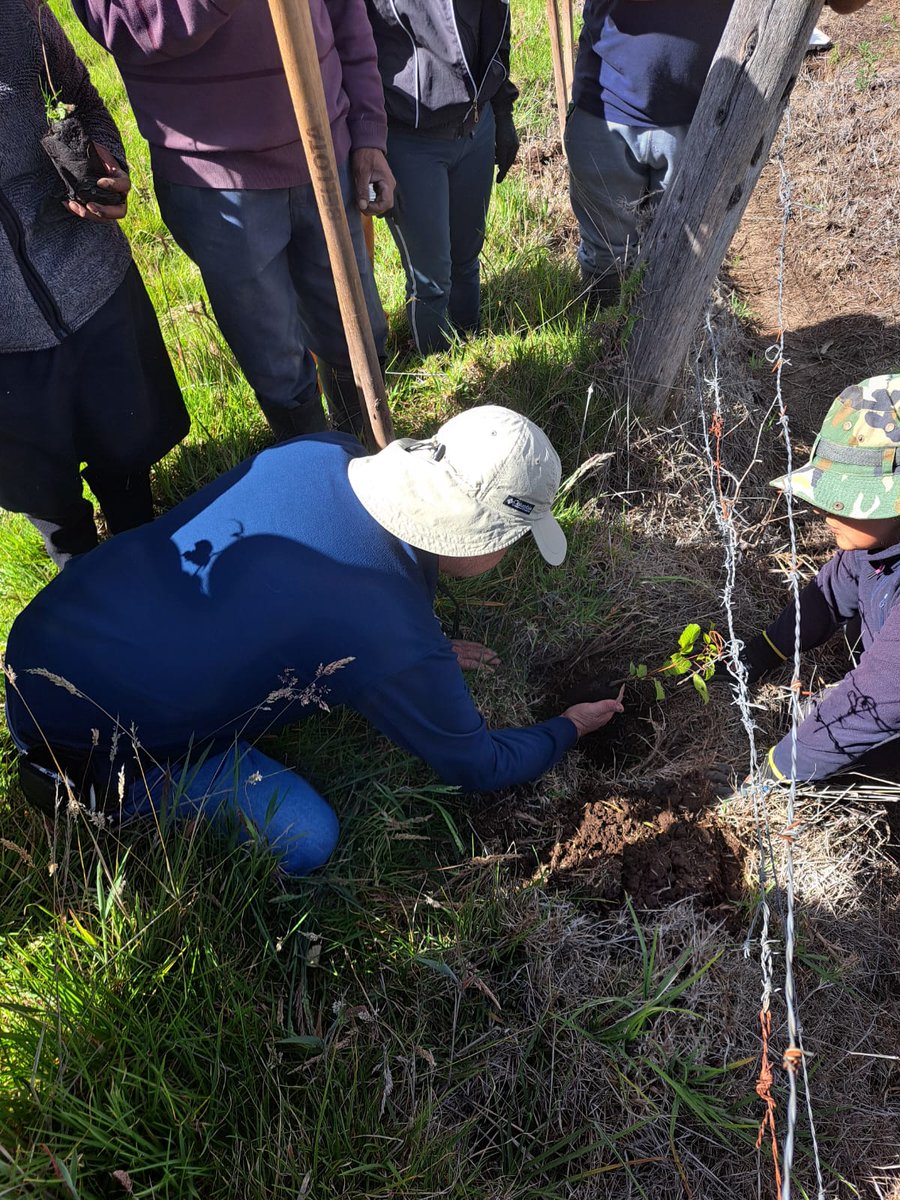 edyguerron's tweet photo. Reforestación en la Comuna Paquistancia, Cayambe. https://t.co/a5J4T9rma0