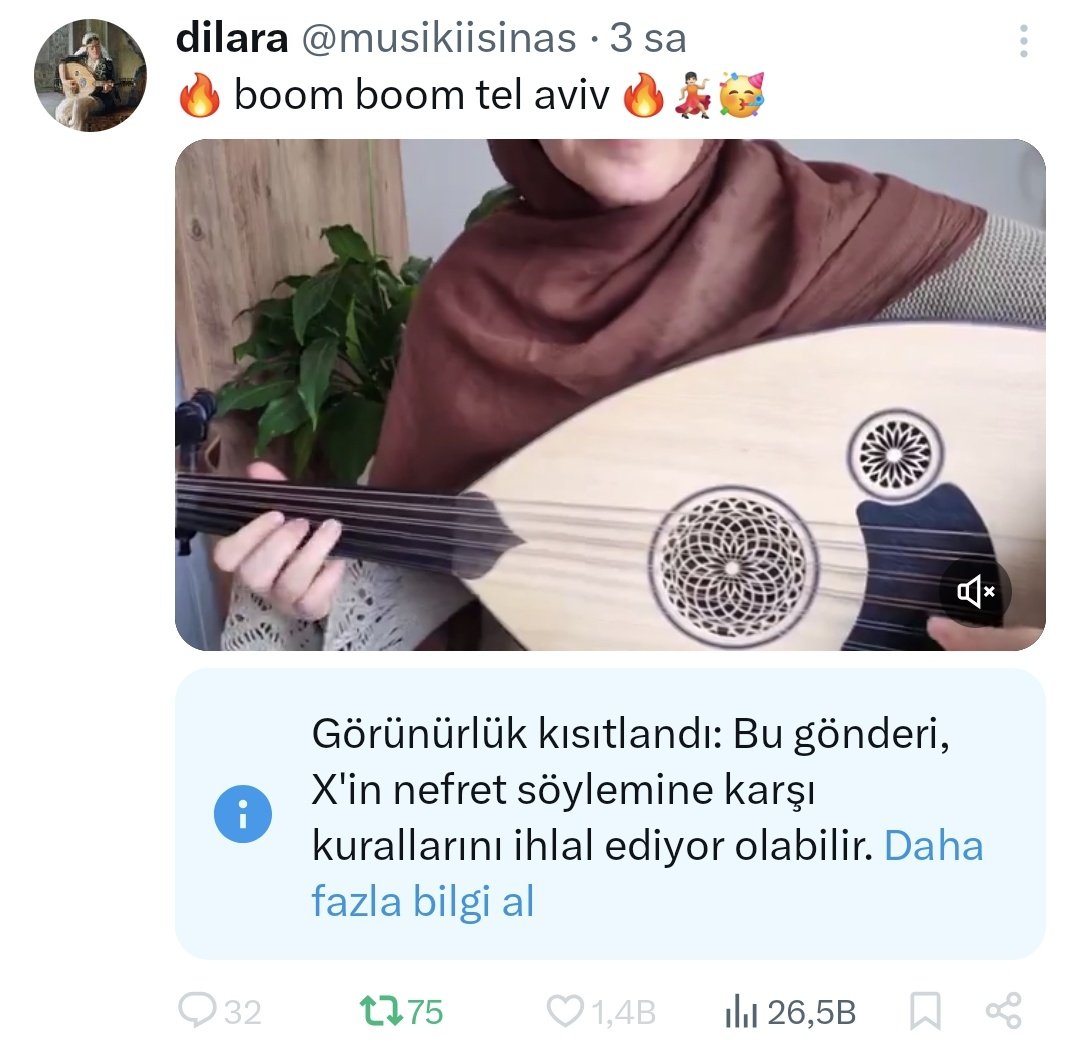 dilara tweet media