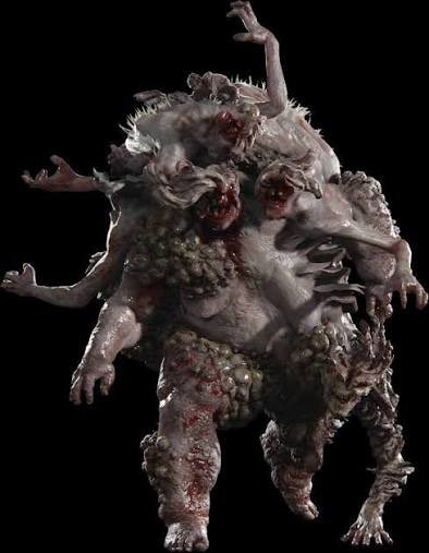 marta ᖭི༏ᖫྀ tweet media