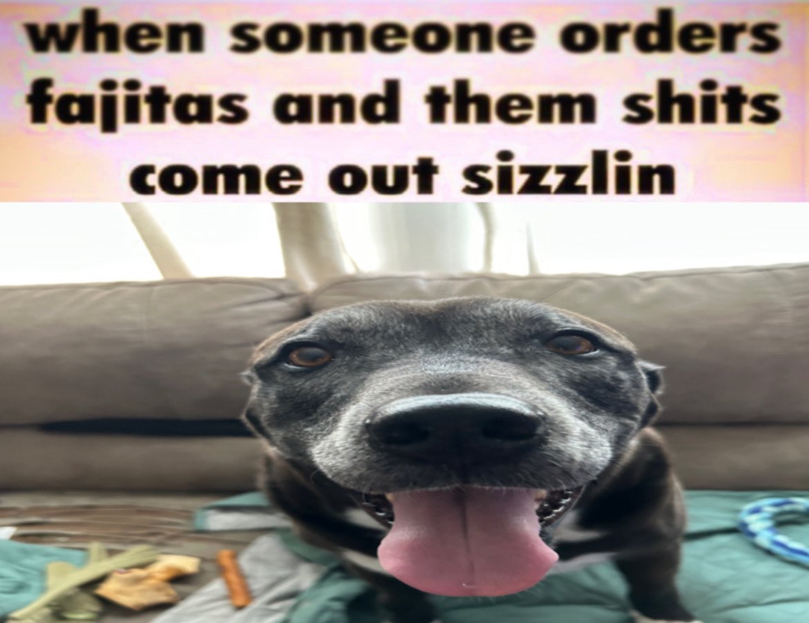 lyra🔜fwa, ac tweet media