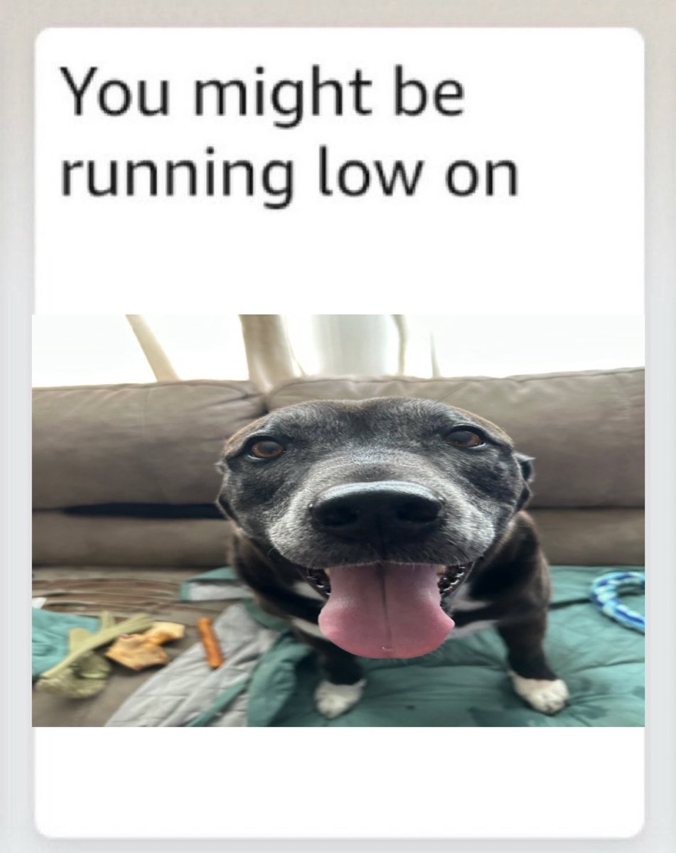 lyra🔜fwa, ac tweet media