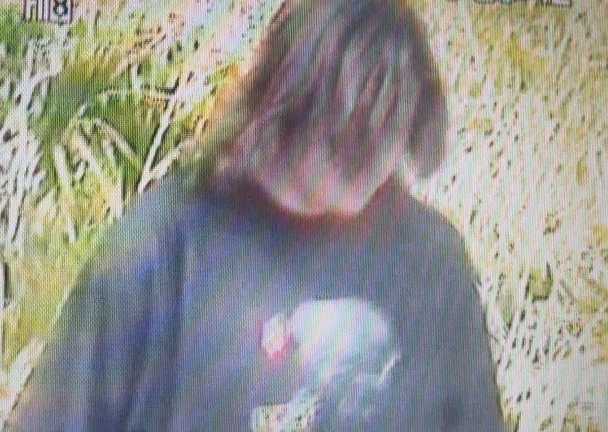 drew the architect tweet media