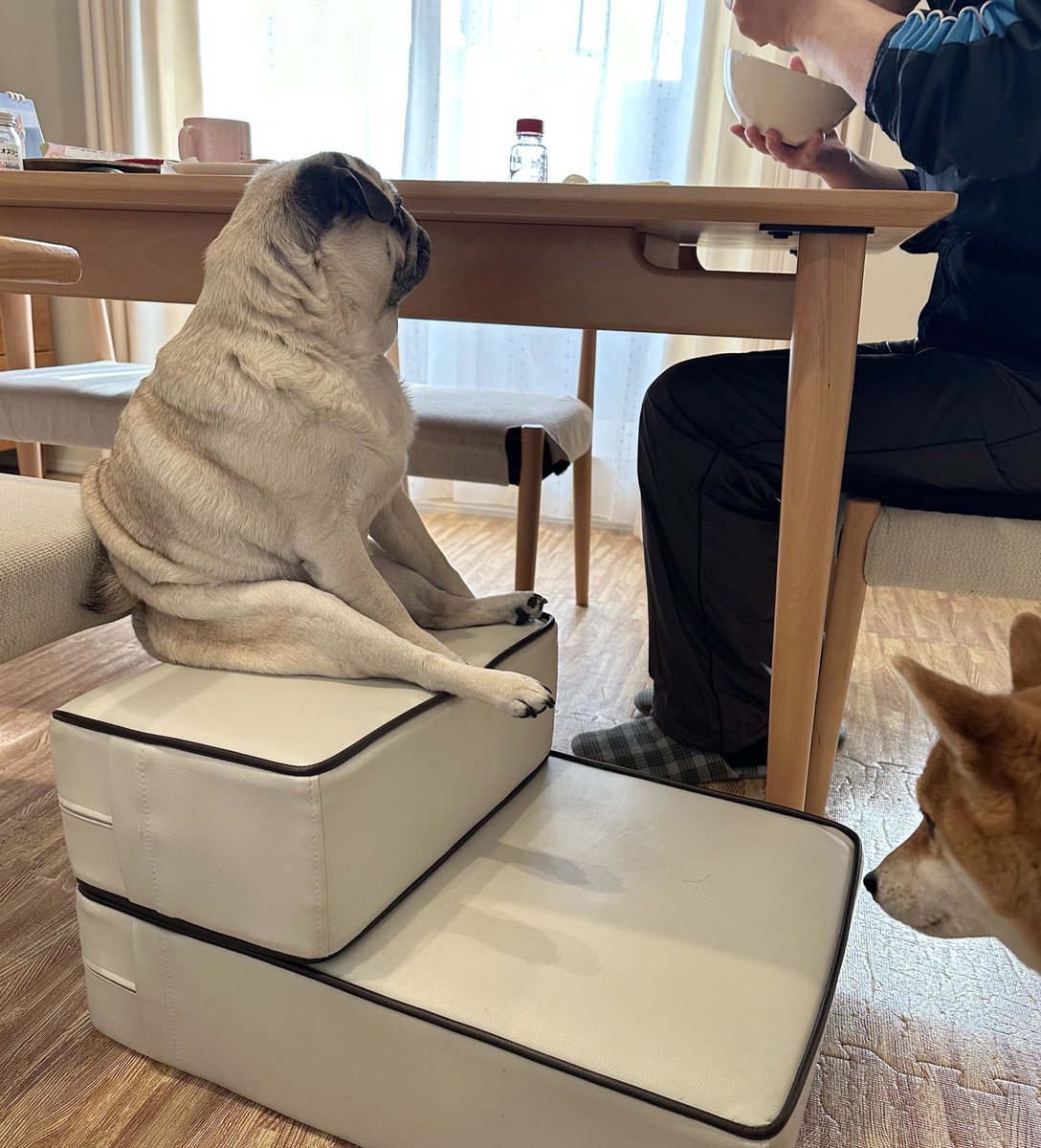 きたむら tweet media