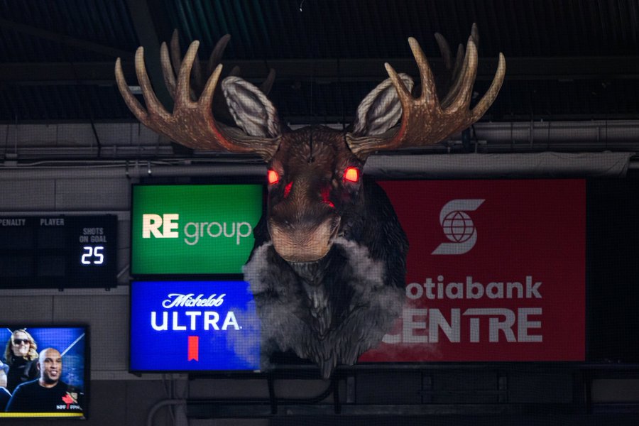 ナちゃん tweet media