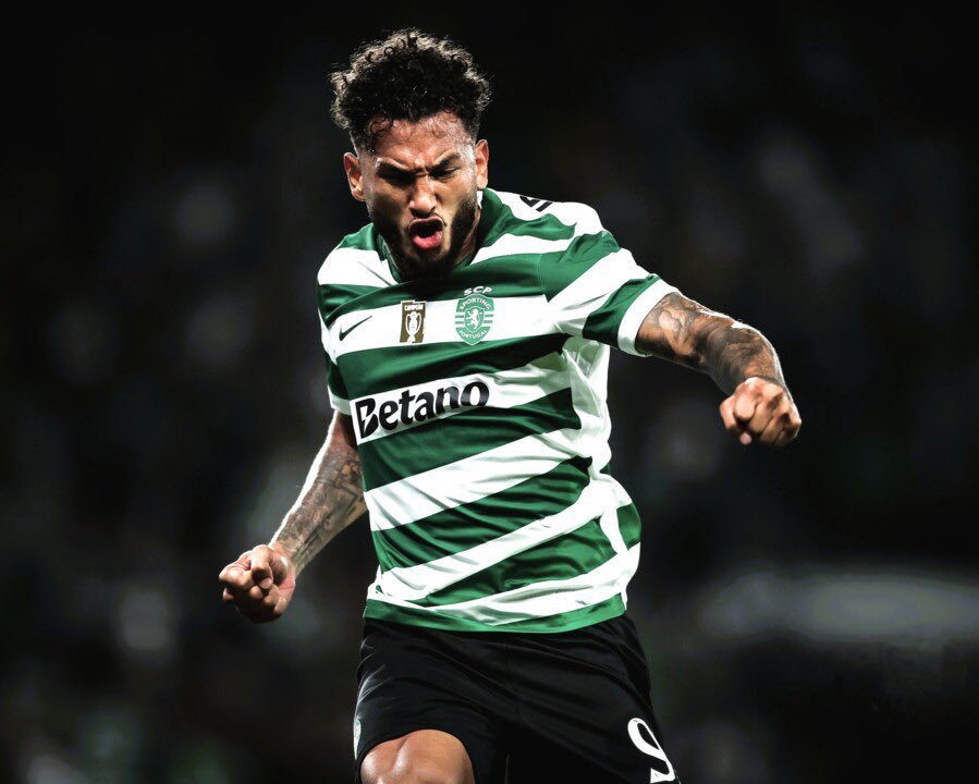 ALVARO HINCAPIE C. tweet media