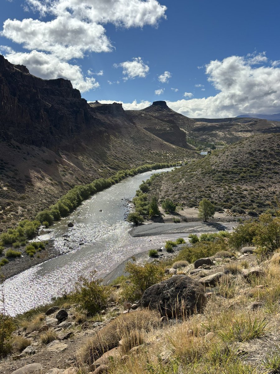 Pablo Ángel Gutiérrez Colantuono tweet media