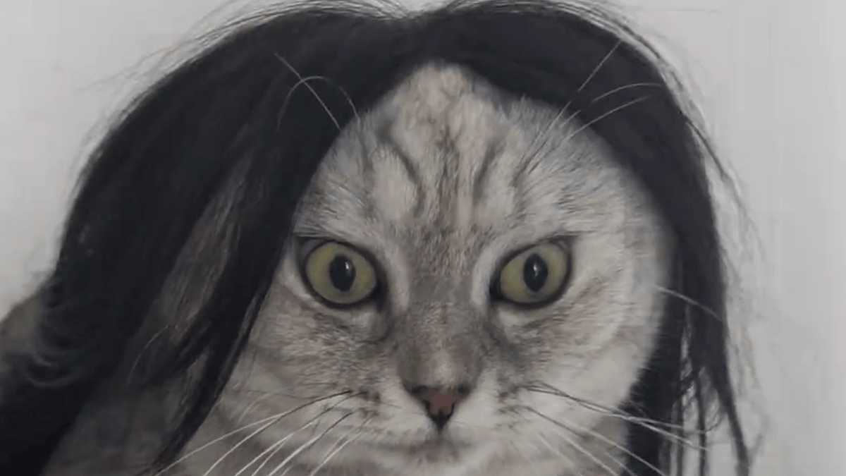 Avantis | Official Announcements AirDrop tweet media