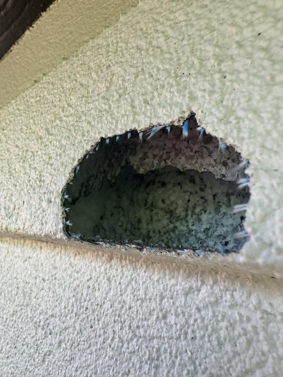 dumas_mark's tweet photo. @MyRadarWX I live in the NW part of the Woodlands (further north than your image). My ring camera captured the sound of the impact at 4:41:57. It went through the thin stucco layer and blew out the foam that makes the decorative trim. This hole is ~2.25" wide. https://t.co/RgP7fgph98