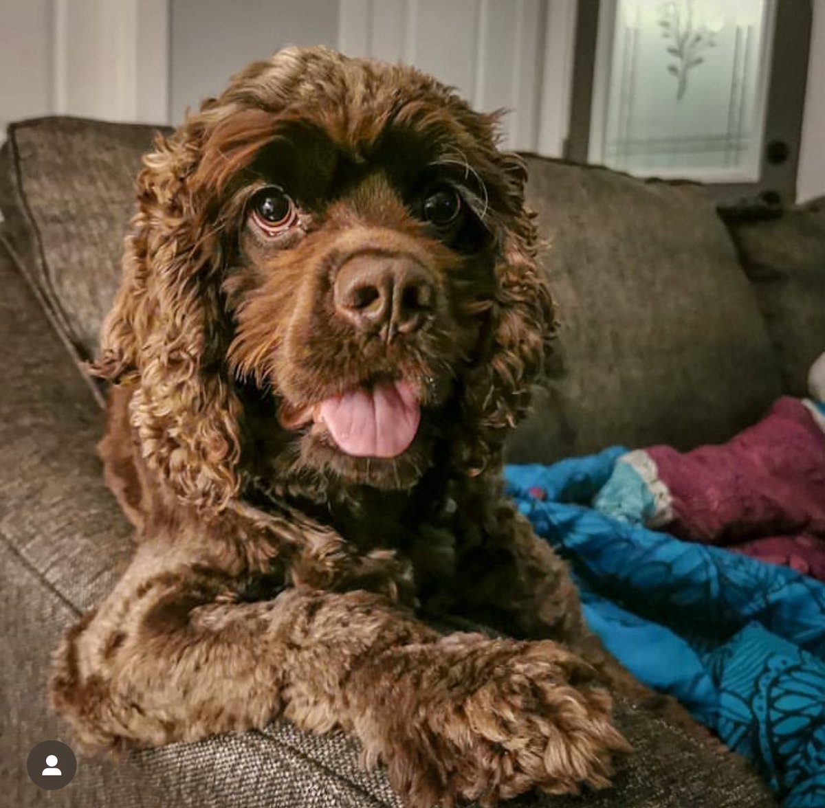 Ryan Lindley tweet media