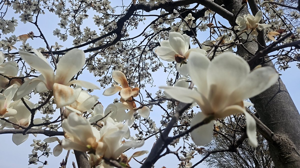 阿部博明 tweet media