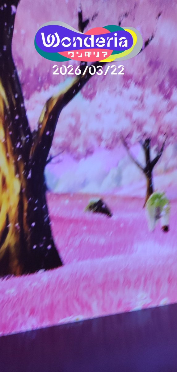 嶋田 哲司 tweet media