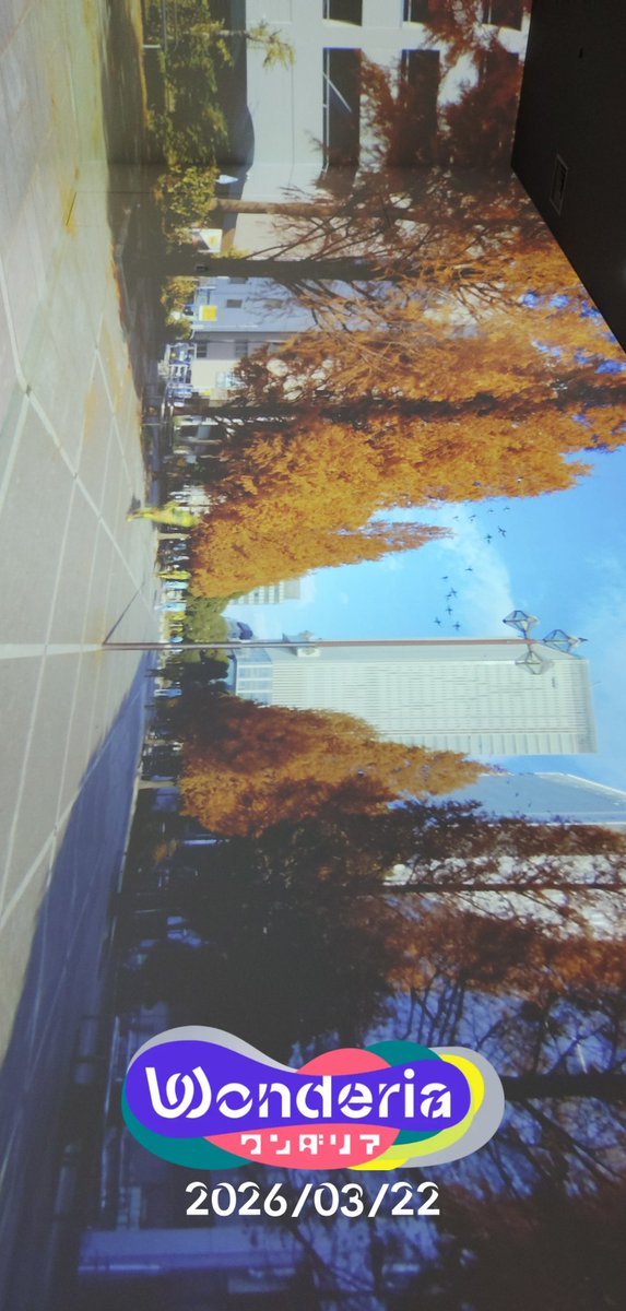 嶋田 哲司 tweet media