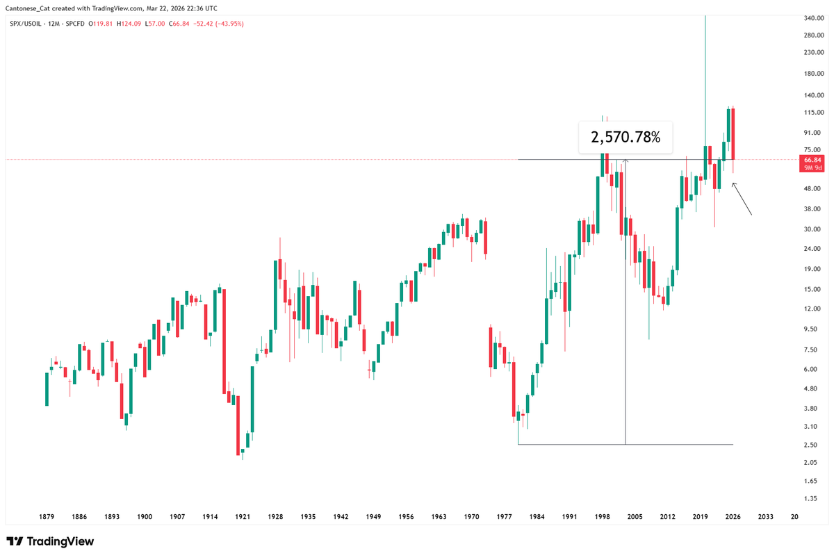 Cantonese Cat 🐱🐈 tweet media