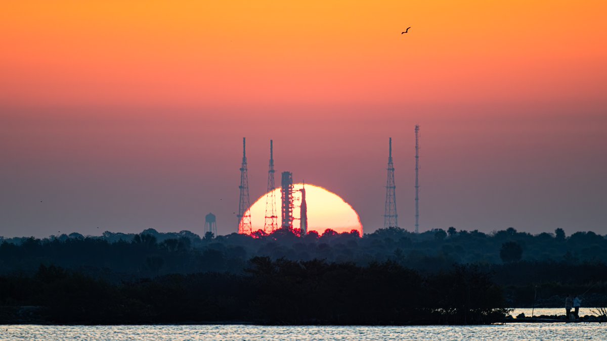 MikeSeeley's tweet image. Bonus wide view, with some shadowy figures fishing or maybe birdwatching, because, birb.