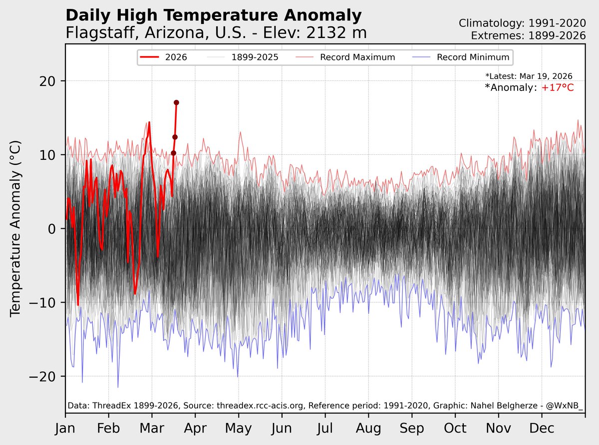 Nahel Belgherze tweet media