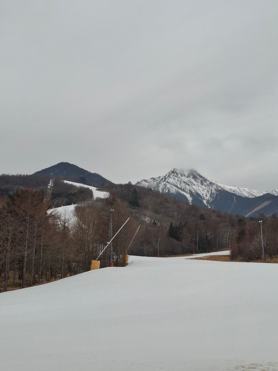 サンメドウズ清里 tweet media