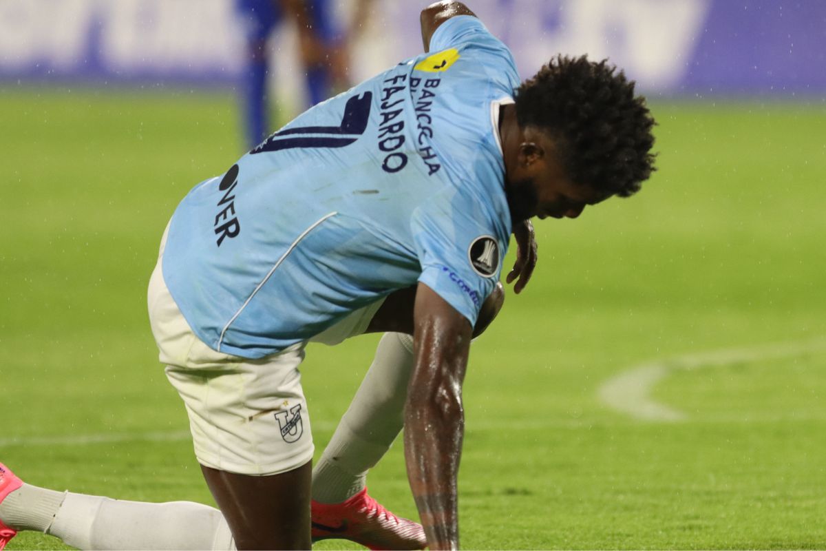 Sebastian Machado tweet media