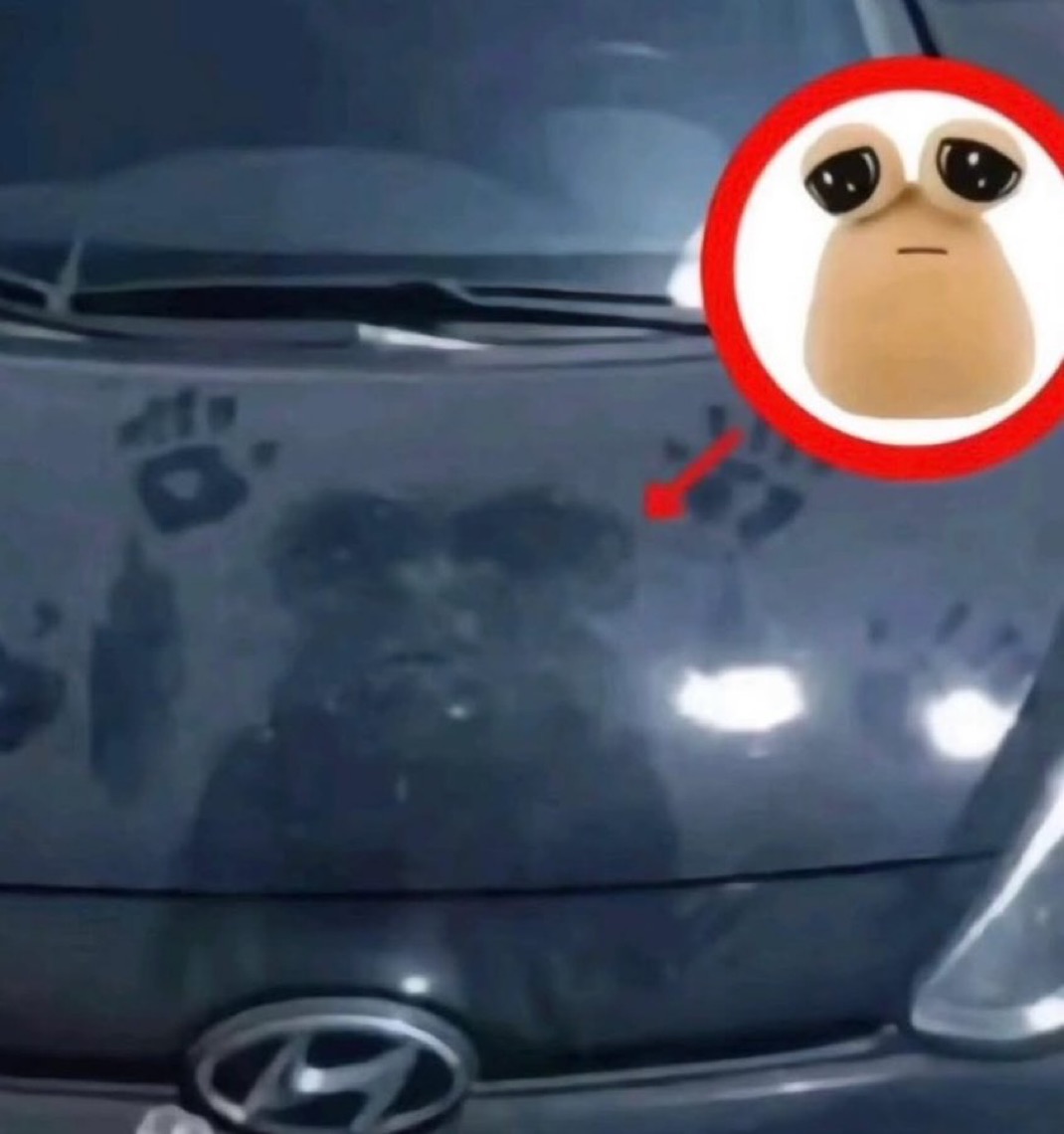 RetrAshado tweet media