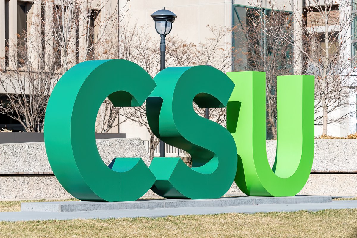 Mr. P. Explores tweet media