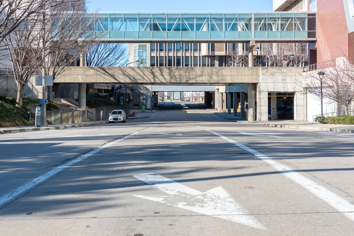 Mr. P. Explores tweet media