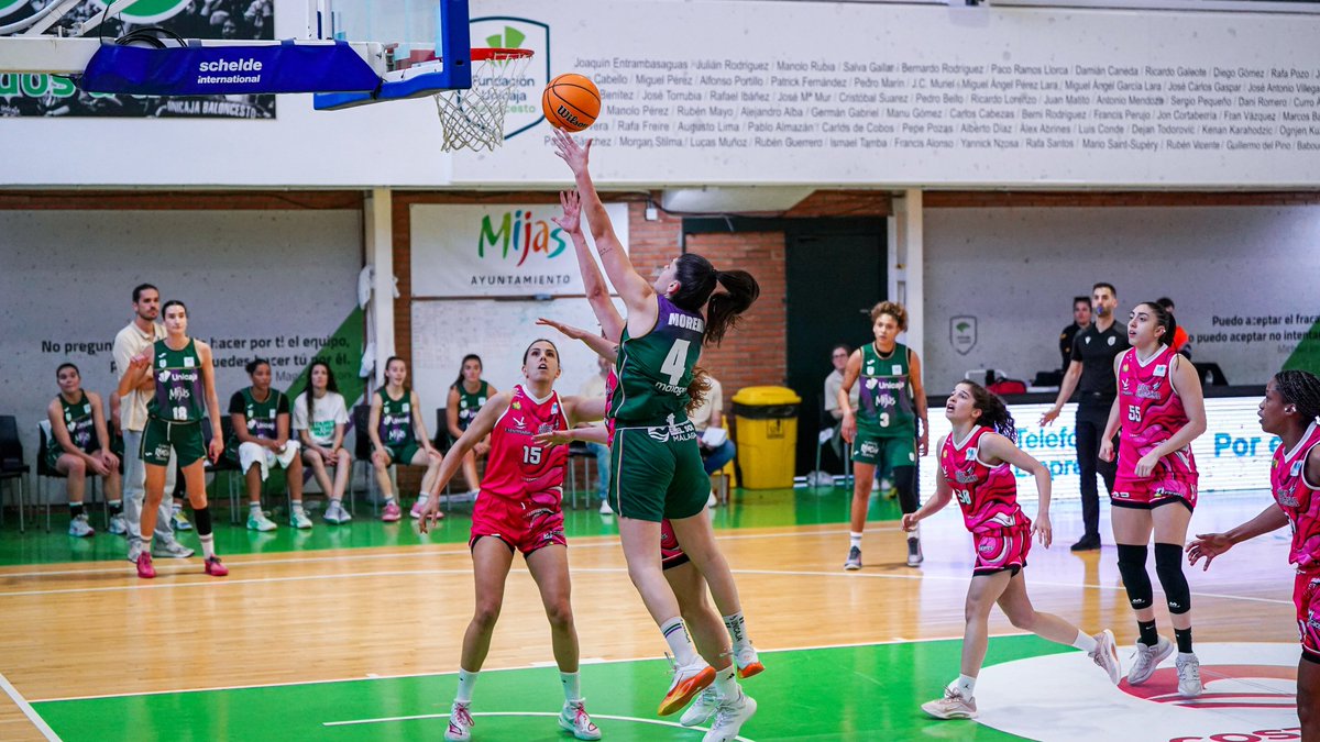 CompeticionesFEB tweet media