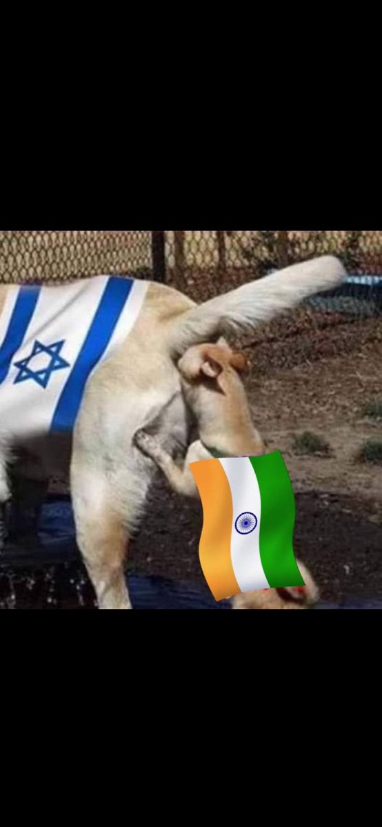 Rohail Abbas tweet media