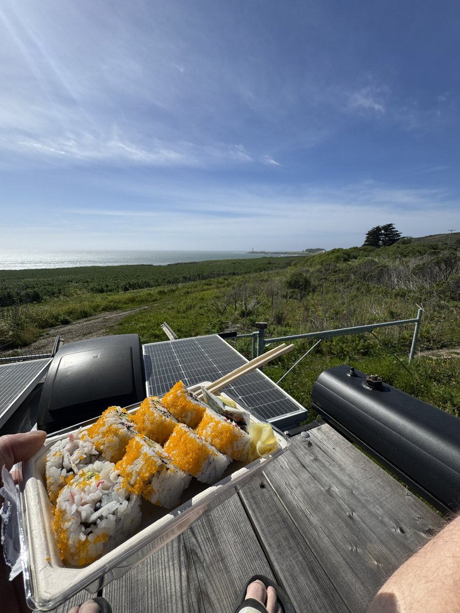 Sweaty Freddy 🏴‍☠️ tweet media