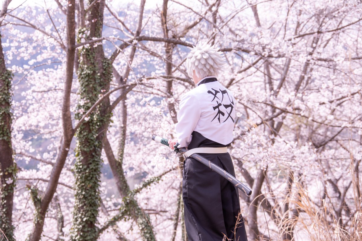 わゆ🍃 tweet media