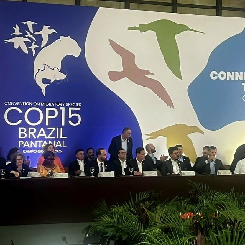 MRE_Bolivia's tweet image. Bolivia, bajo el liderazgo del Canciller Fernando Aramayo, planteó en la #COP15 fortalecer la conectividad ecológica, la coordinación entre Estados y el financiamiento para una gobernanza multinivel. 🇧🇴🫱🏼‍🫲🏻🇧🇷

#Bolivia #Brasil #EspeciesMigratorias
#ConectividadEcológica