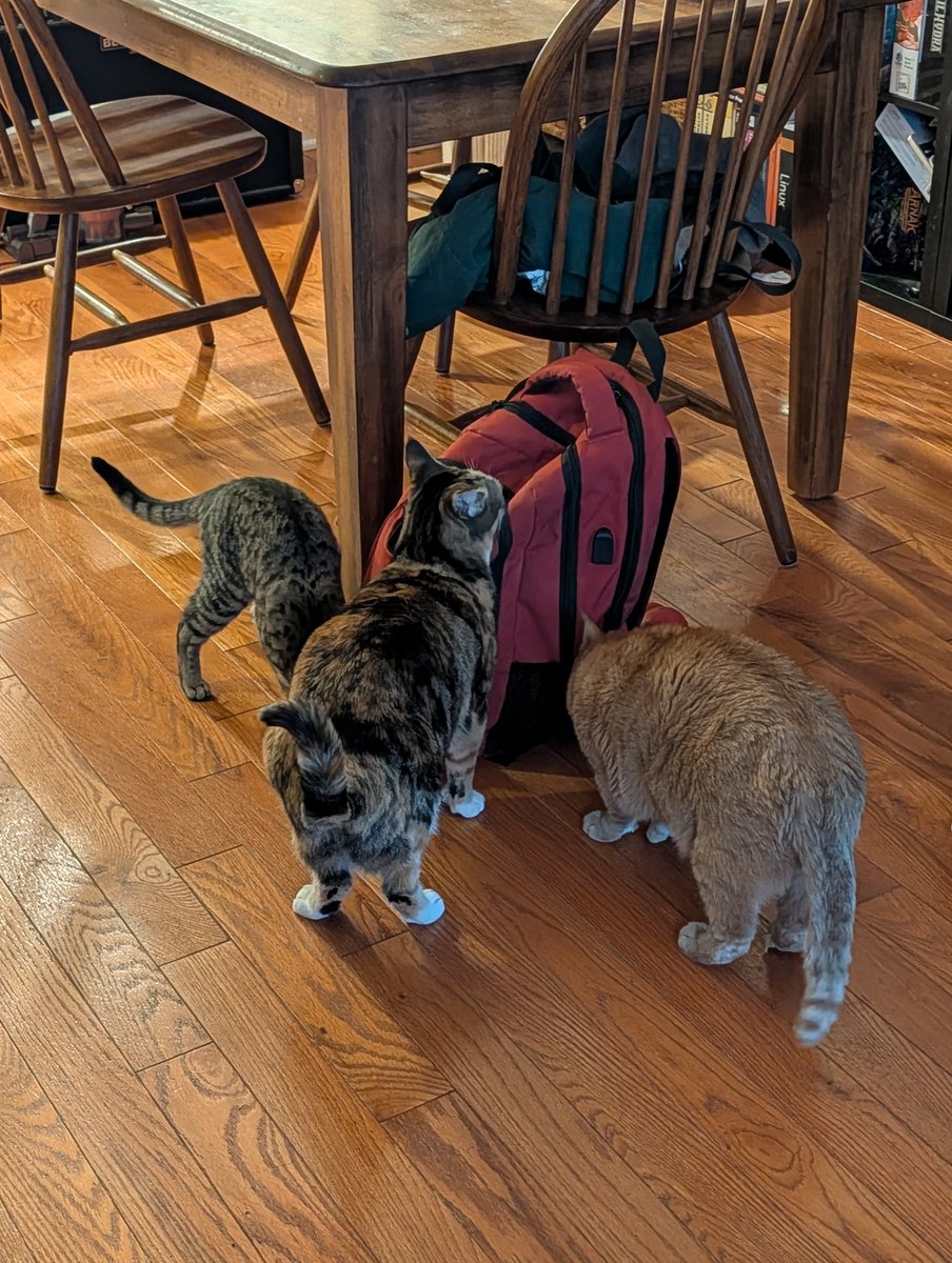 Zweil, The Reviled tweet media