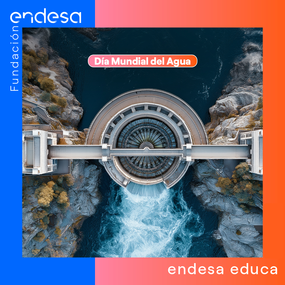 Endesa Educa tweet media
