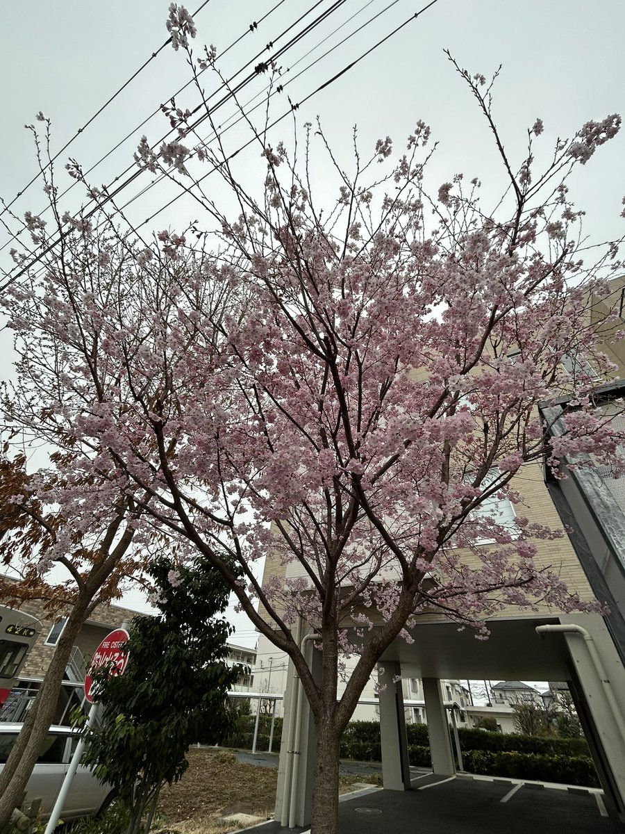 早稲田教育出版【公式】 tweet media