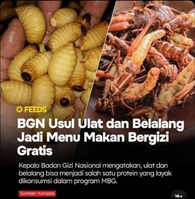 HUMOR JON TAMPAN tweet media