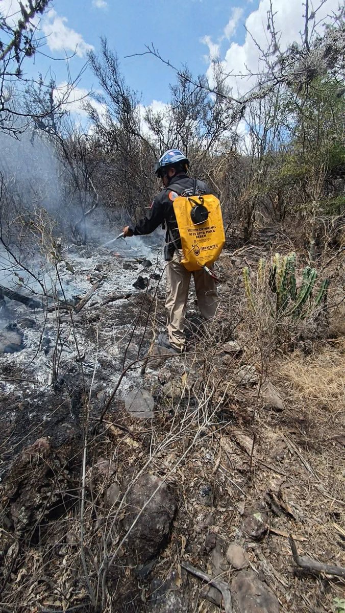 Códice Informativo tweet media