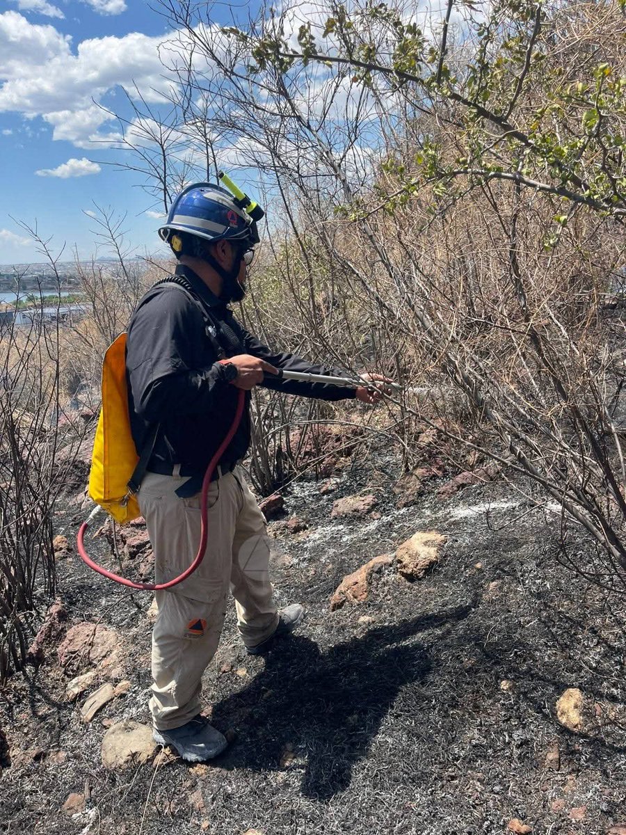 Códice Informativo tweet media