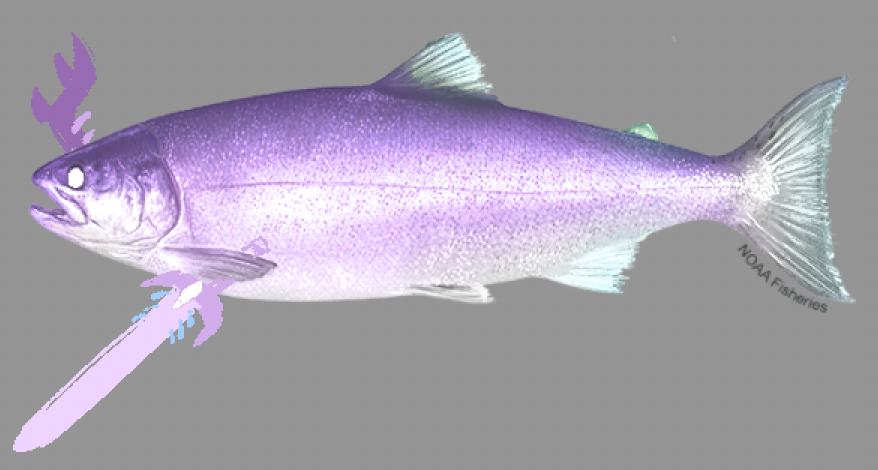 SODAKETTLE tweet media