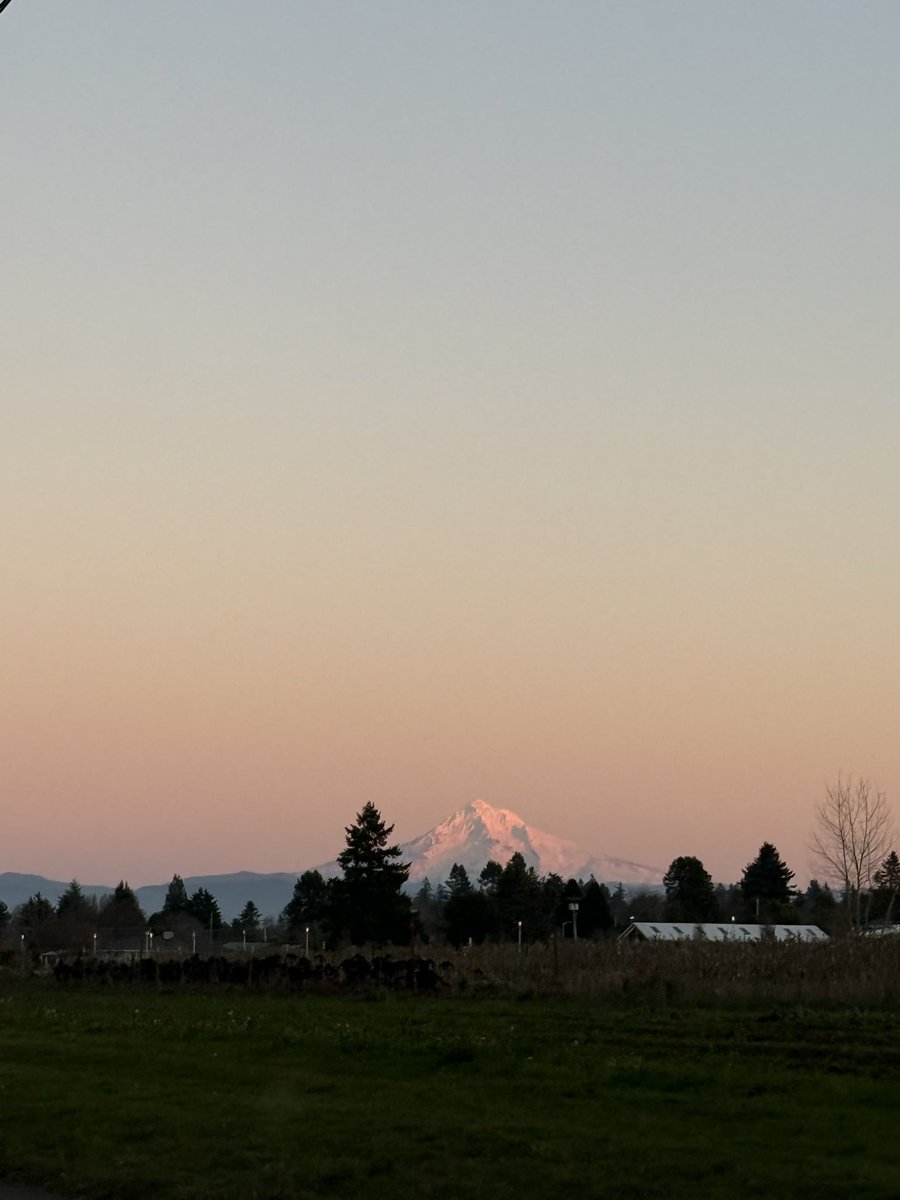 pnwjayda's tweet photo. So grateful I live in such a beautiful state <3 https://t.co/o8eXfKOdqi