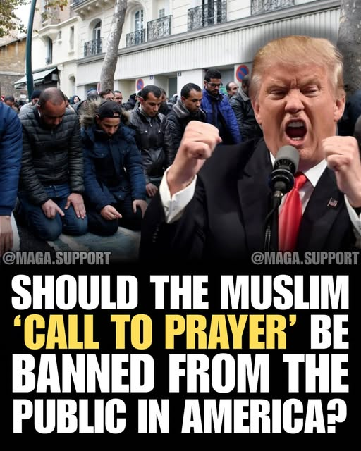 SaltyGoat tweet media