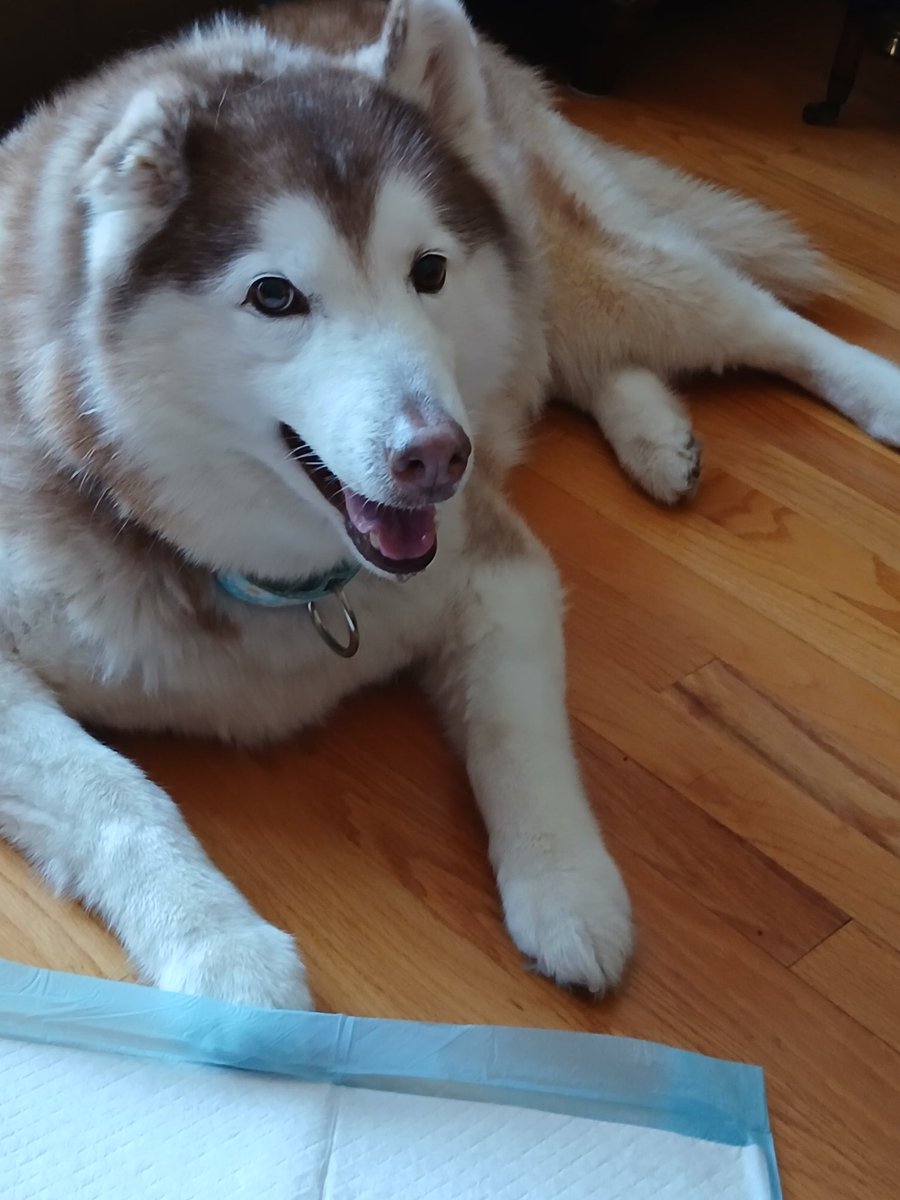 Jro 🇺🇸🇺🇦 tweet media