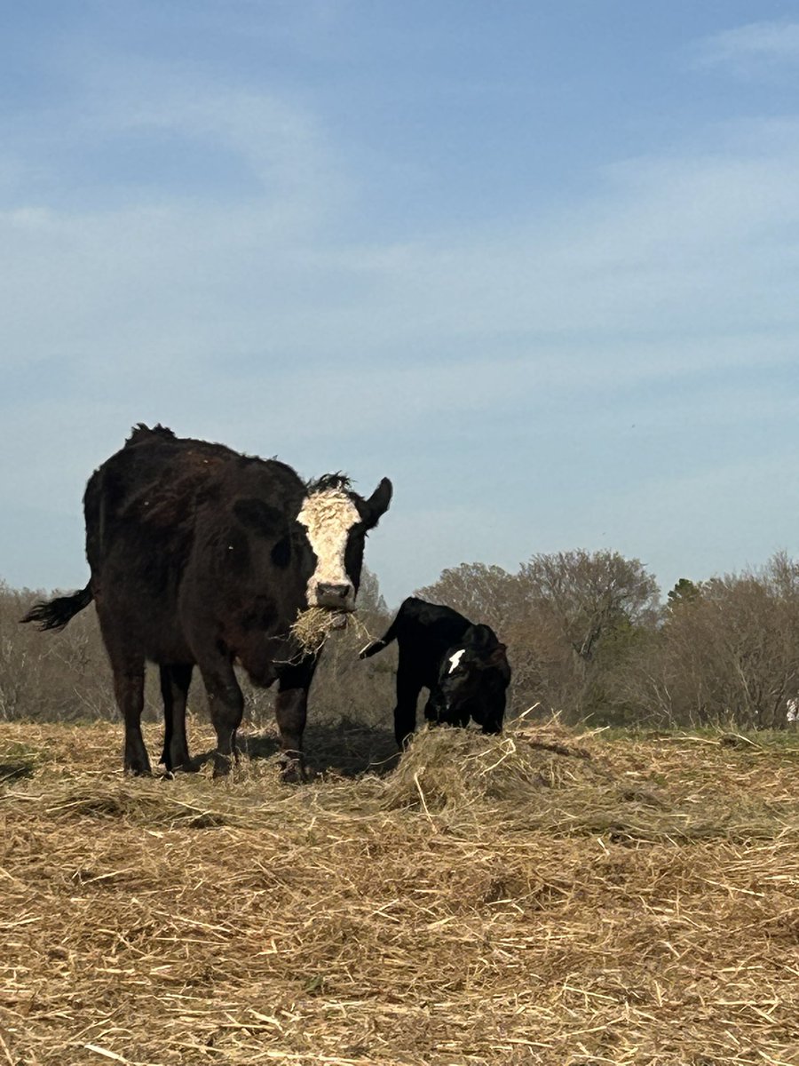 Matt Carter tweet media